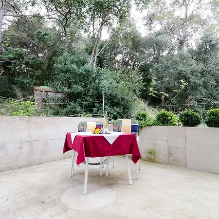 Karla Guest house 3*